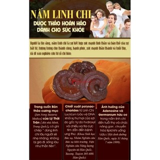 Nấm Linh Chi Thái Lát Hàn Quốc