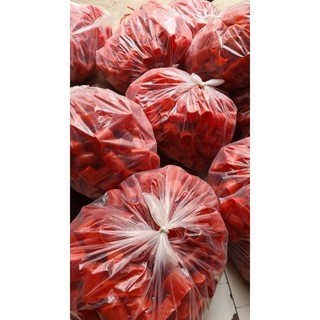 10 Máng nước tự động C2 cho gà