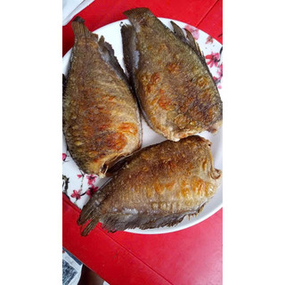 KHÔ CÁ SẶC BỔI 2 nắng k đầu. 500g 4con.(giao hỏa tốc)