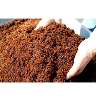 mùn cưa trồng lan cây cảnh rau(1kg)