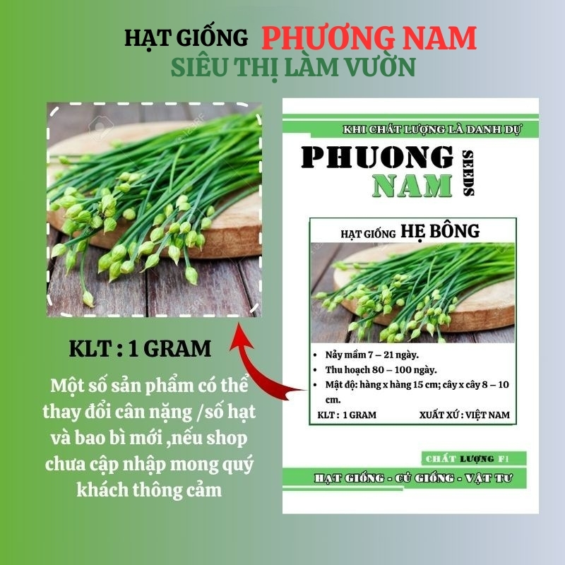 1 Gram - Hạt Giống Bông Hẹ Phương Nam