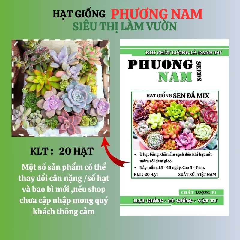 20 Hạt - Hạt  Giống  Sen  Đá Mix