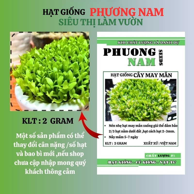 2 Gram - Hạt Giống May Mắn Phương Nam