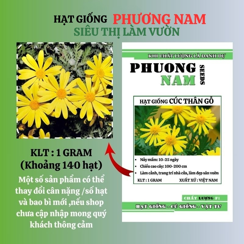 50H - Hạt Giống Hoa Cúc Thân Gỗ Phương Nam