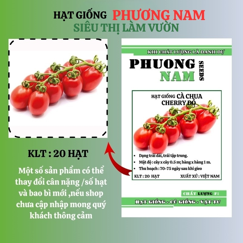 20 Hạt - Hạt Giống Cà Chua Cherry Đỏ Phương Nam