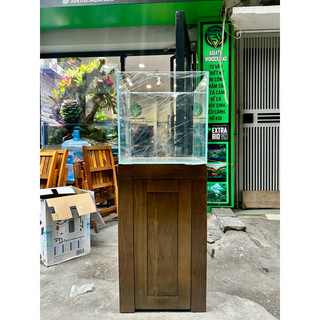  Bể kính Cubic bể cá thủy sinh  full siêu trong 