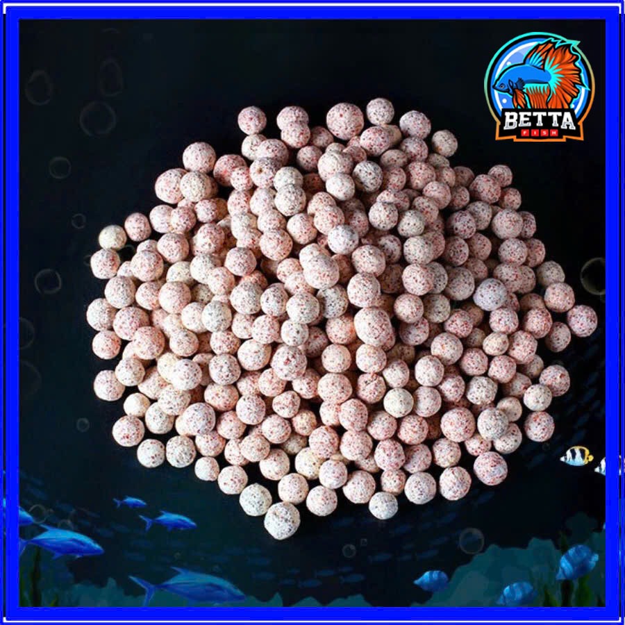 Sứ Bi Đài Loan : 500g - 1kg - 3kg