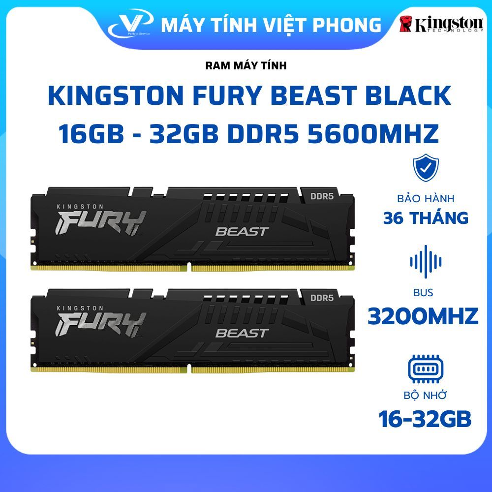 RAM MÁY TÍNH KINGSTON FURY BEAST BLACK 16GB 32GB DDR5 5600MHZ (KF556C40BB-16)