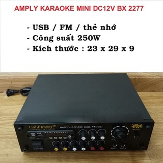Amply mini CALIFLOWER BX2277 và 326BT