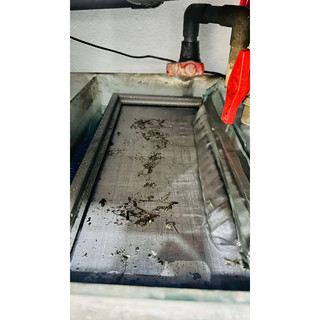 Khay tách phân bể cá. Lưới inox 304