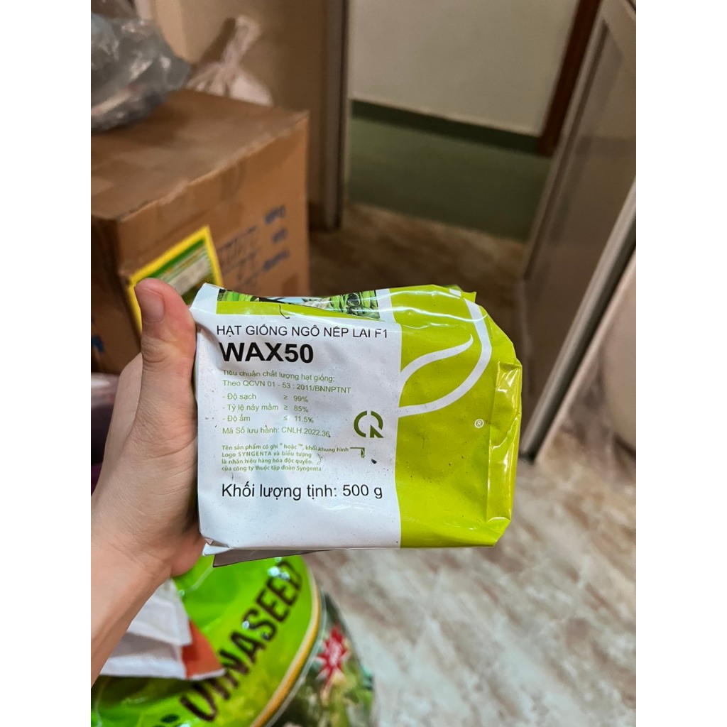 NGÔ WAX50 SYGENTA  gói 500g - Nếp lai F1 thời gian thu hoạch 60-70 ngày . Mã lưu hành CNLH 2022.36