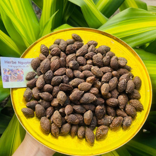 Hạt đười ươi loại 1 (100g loại đặc biệt)