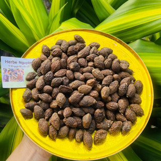 Hạt đười ươi loại 1 (100g loại đặc biệt)