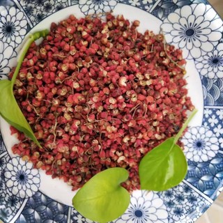 Xuyên Tiêu ( hạt Tiêu Đỏ Tứ Xuyên ) thơm,cay 100 gram.