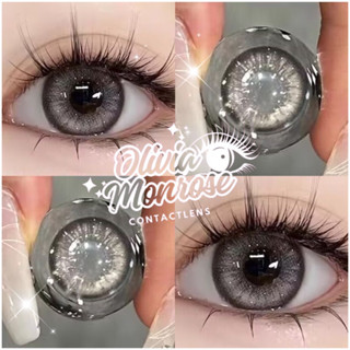  Ingrid Gray - Kính áp tròng thời trang   có kèm khay đựng lens   