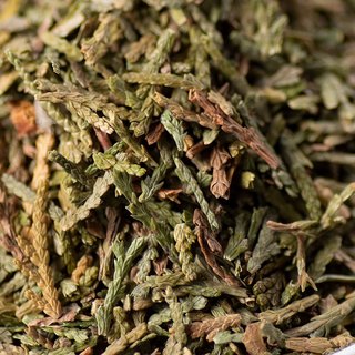 Trắc Bá Diệp ( Trắc Bách Diệp) khô sạch 100 gram.