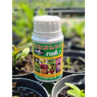 Phân bón lá cao cấp Hoa Kỳ Roots 2 lọ 100ml kích thích cây ra rễ, nuôi rễ và hút dưỡng chất tốt nhất