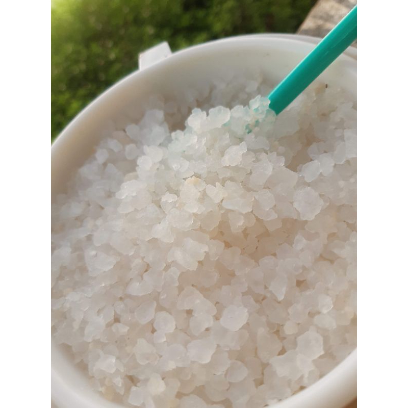 nấm nước water kefir thuần dừa 20g- 30gr nấm( dùng làm nước có ga)