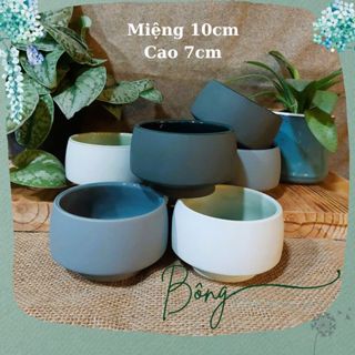  Chậu trồng cây Chậu trồng thủy sinh cắm hoa decor trang trí tủ kệ Bông Garden House 