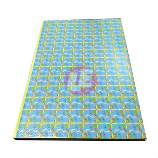 Sổ caro 30 x 40 cm Tiến Phát (Cuốn)