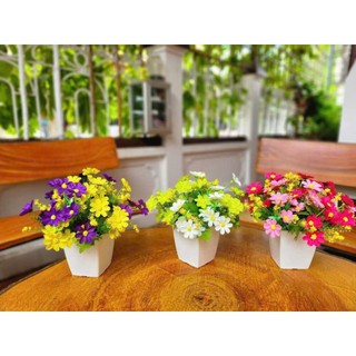 Chùm hoa cánh bướm - hoa vải hoa lụa cao cấp