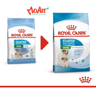  ROYAL CANIN MINI STARTER MOTHER & BABYDOG 8kg 