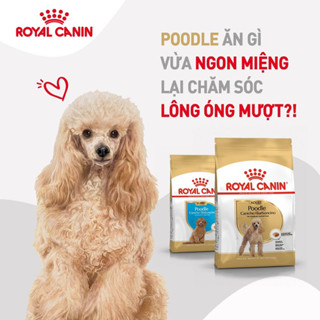  Hạt Royal Canin dành cho Poodle 1.5kg 