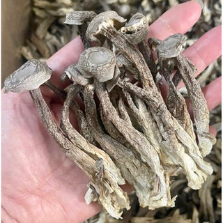  Nấm Lộc Nhung Khô Nguyên Cây  LOẠI NGON MỚI  Ko Vụn- 100g 200g 500g Có Tem Nhãn Hút Chân Ko 