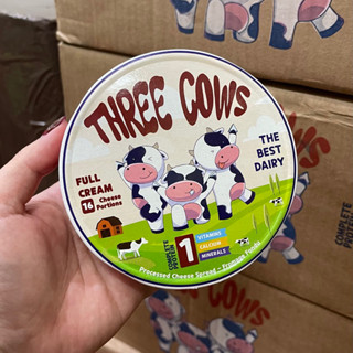  Phô mai Ai Cập dành cho chó mèo 5 2026 