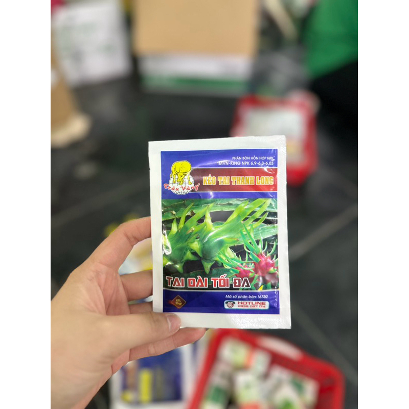 Kéo tai Thanh long Trâu vàng ( Chuyên Thanh Long )