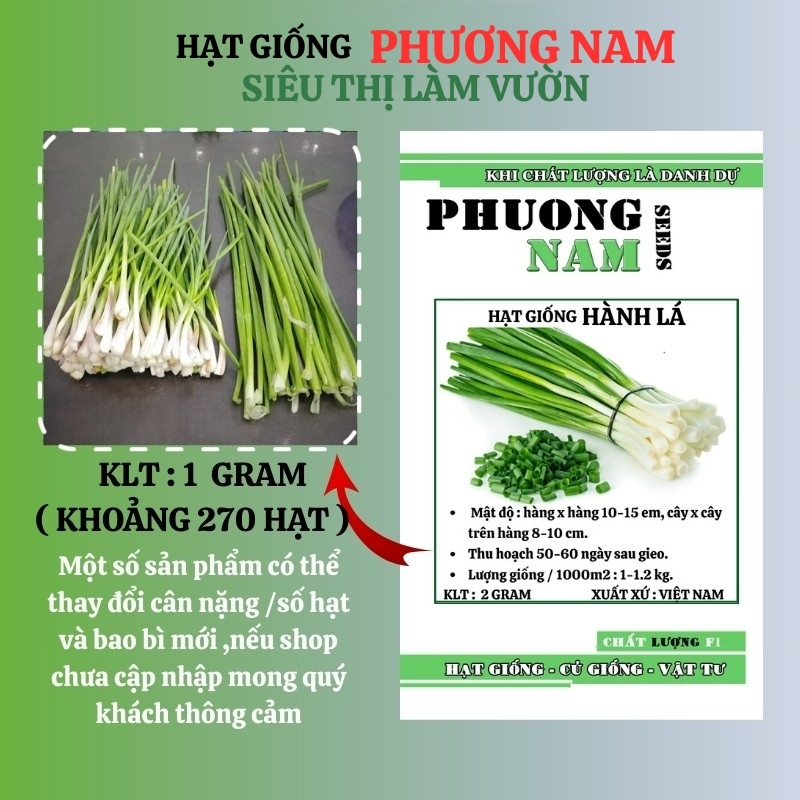 2 Gram - Hạt Giống Hành Lá Phương Nam