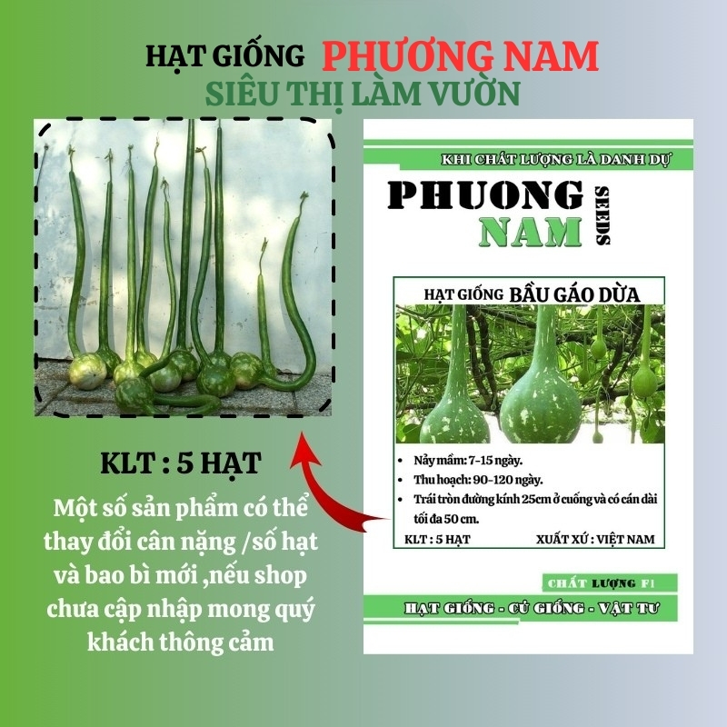 5 Hạt - Hạt Giống Bầu Gáo Dừa Phương Nam