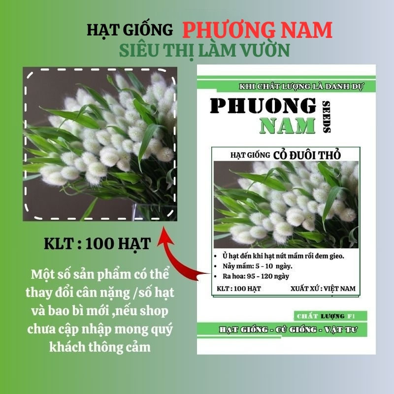 100 Hạt - Hạt Giống Cỏ Đuôi Thỏ Phương Nam