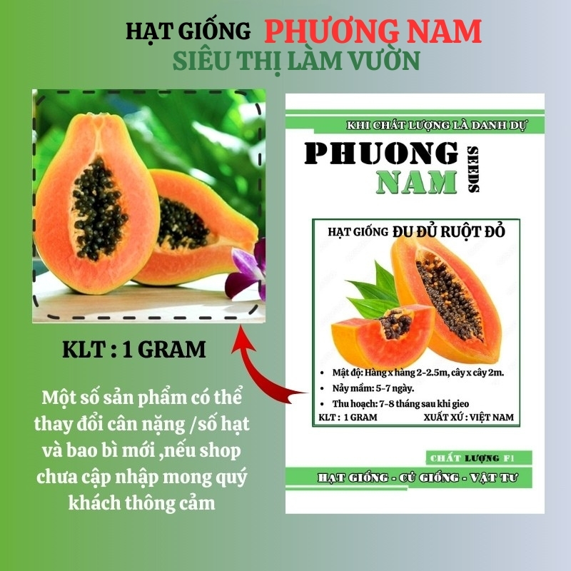 1 Gram - Hạt Giống Đu Đủ Ruột Đỏ Phương Nam