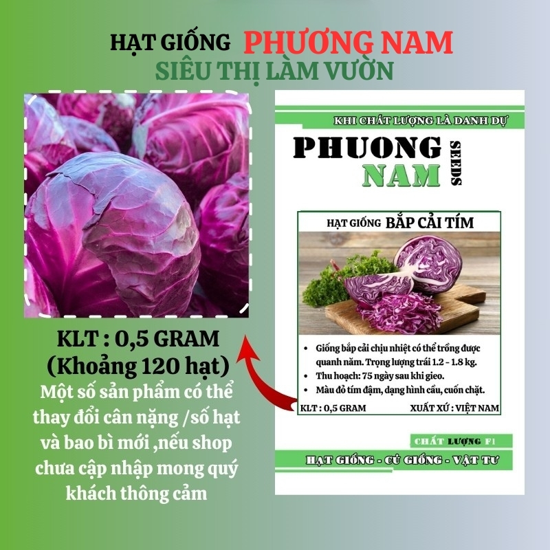 0,5 Gram - Hạt Giống Bắp Cải Tím Phương Nam