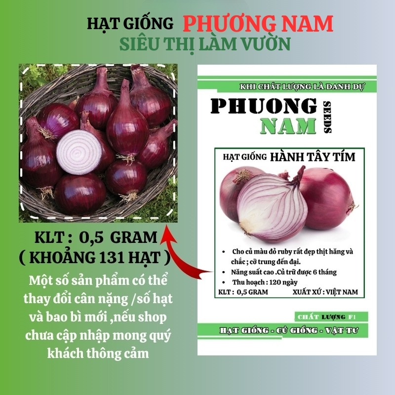 0.5 Gram - Hạt Giống Hành Tây Tím Phương Nam