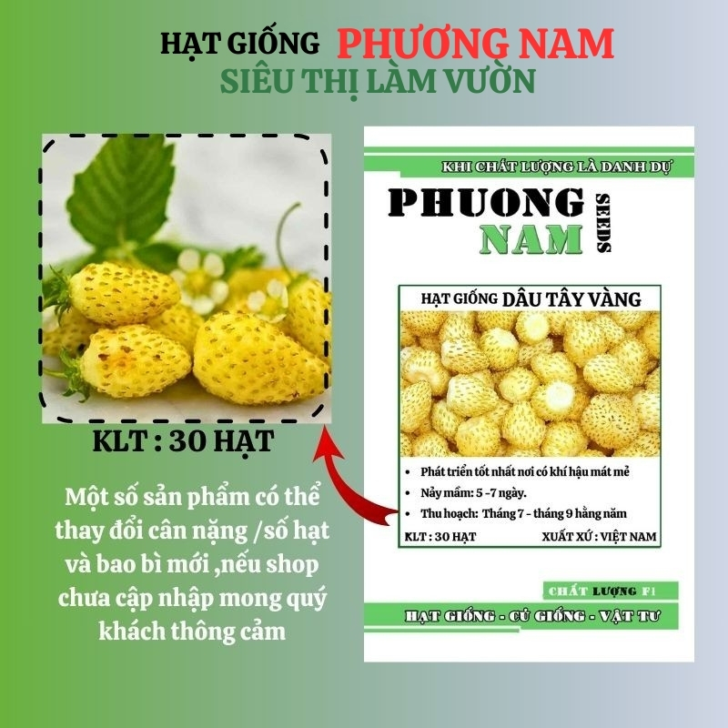 30 Hạt - Hạt Giống Dâu Tây Vàng Phương Nam