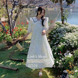 Váy Đầm Suông Xinh A2551
