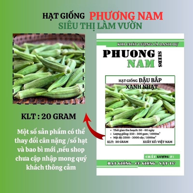 20 Gram - Hạt  Giống Đậu Bắp Phương Nam