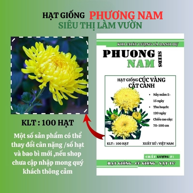 100 Hạt - Hạt Giống Hoa Cúc Vàng (Cúc Đại Đóa) Phương Nam