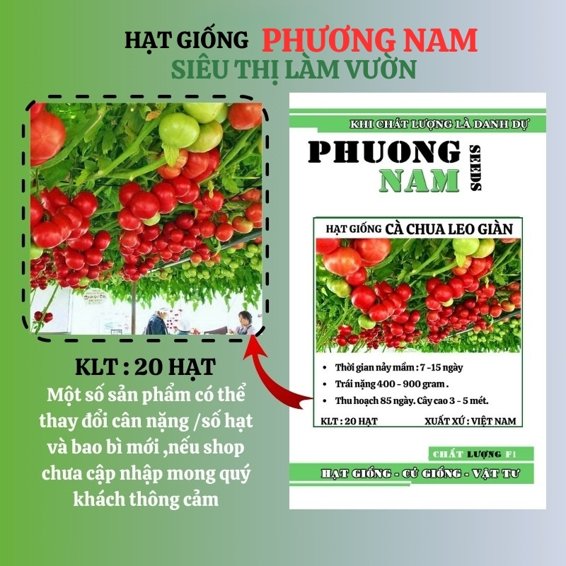 20 Hạt - Hạt Giống Cà Chua Leo Giàn Phương Nam