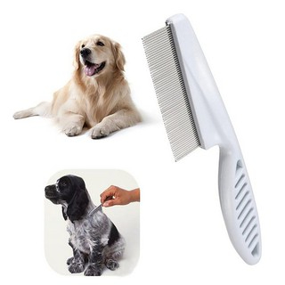 Lược chải lông,ve rận cho thú cưng