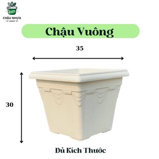 Chậu nhựa hình vuông, chậu nhựa trồng cây lớn vuông , trồng cây kiểng và hoa trang trí sân vườn ,ban công sang trọng