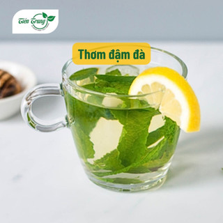 Hạt Giống Rau Bạc Hà Mint Thái Rất Thơm Thuận Nông, Dễ Trồng, Trồng Quanh Năm, Thu Nhiều Lần, Nhiều Công Dụng