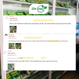 Hạt Giống Rau Bạc Hà Mint Thái Rất Thơm Thuận Nông, Dễ Trồng, Trồng Quanh Năm, Thu Nhiều Lần, Nhiều Công Dụng