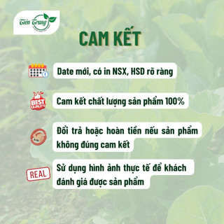 Hạt Giống Rau Bạc Hà Mint Thái Rất Thơm Thuận Nông, Dễ Trồng, Trồng Quanh Năm, Thu Nhiều Lần, Nhiều Công Dụng