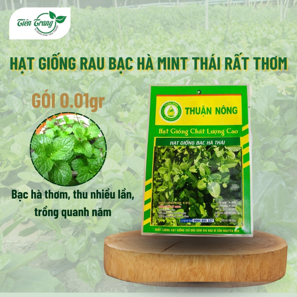Hạt Giống Rau Bạc Hà Mint Thái Rất Thơm Thuận Nông, Dễ Trồng, Trồng Quanh Năm, Thu Nhiều Lần, Nhiều Công Dụng