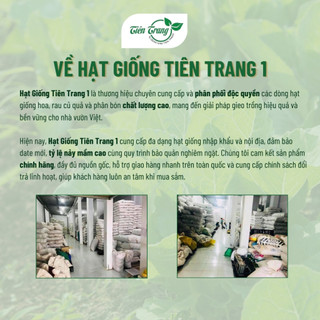Hạt Giống Rau Bạc Hà Mint Thái Rất Thơm Thuận Nông, Dễ Trồng, Trồng Quanh Năm, Thu Nhiều Lần, Nhiều Công Dụng