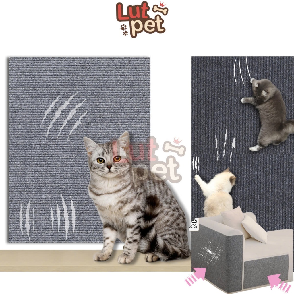Thảm mài móng mèo, thảm dính cào móng mèo, bảo vệ nội thất, đồ chơi cho chó mèo - lutpet