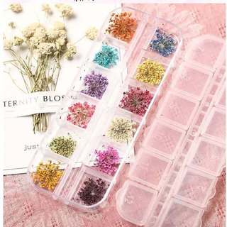 Set 12 màu hoa khô chùm làm ẩn gel,ẩn cứng móng ,clear.